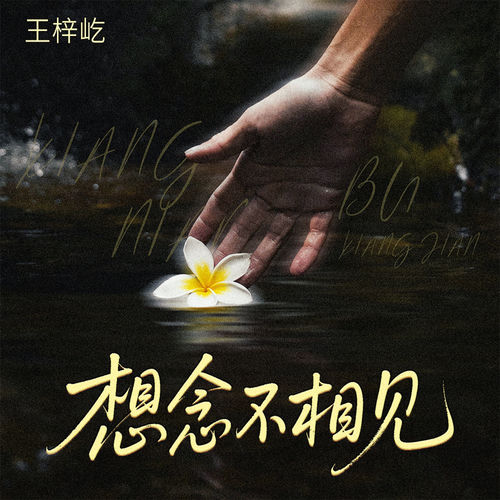 想念不相见