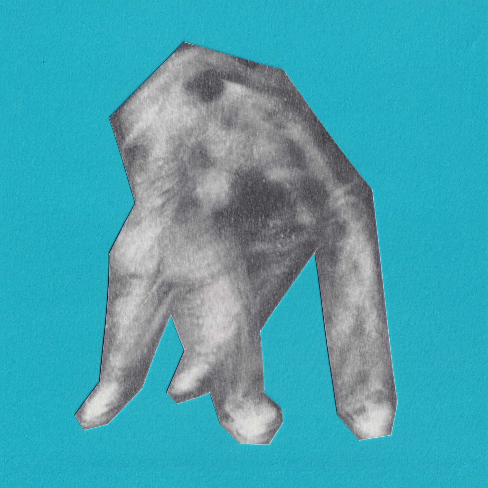 Album cover of sleep