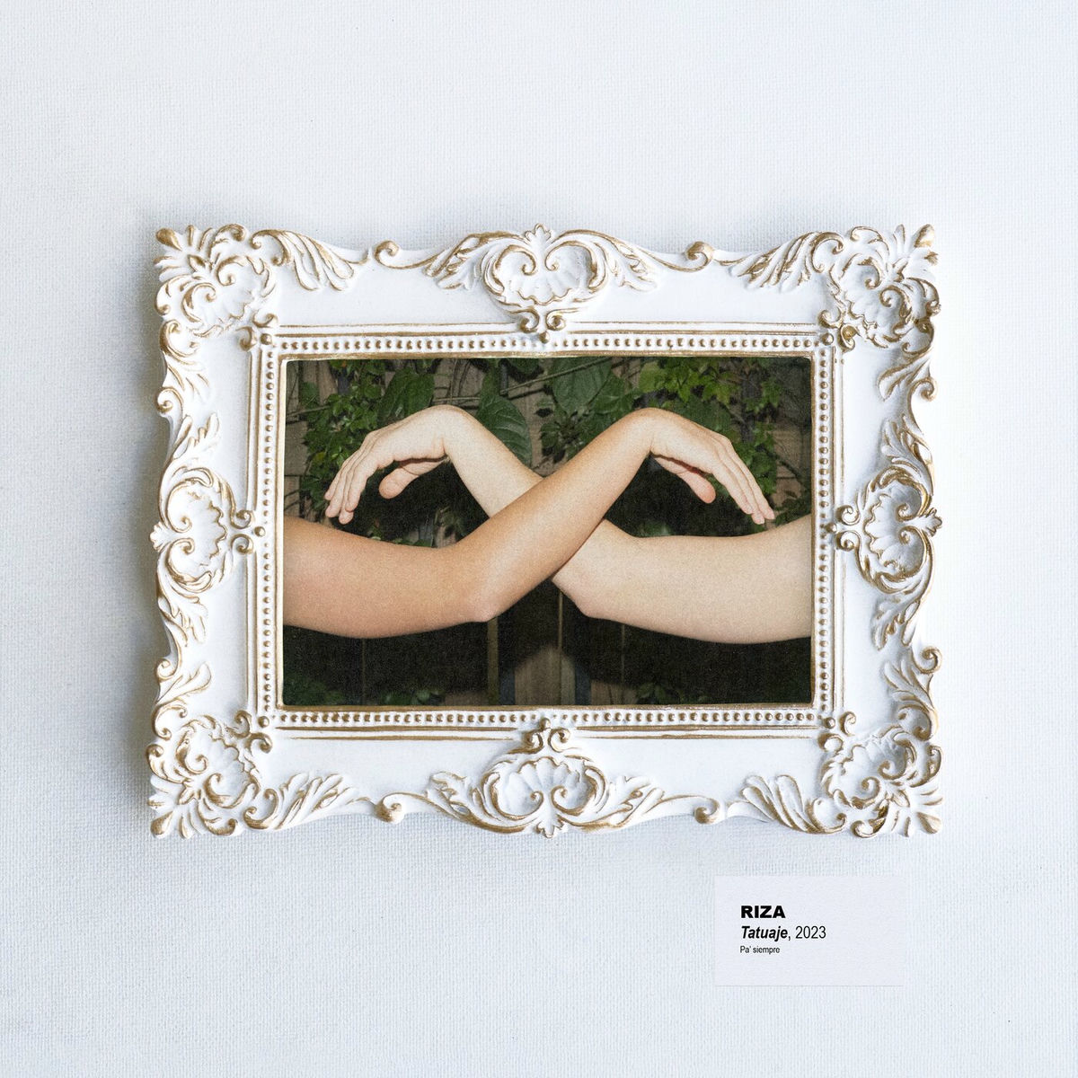 Album cover of Tatuaje