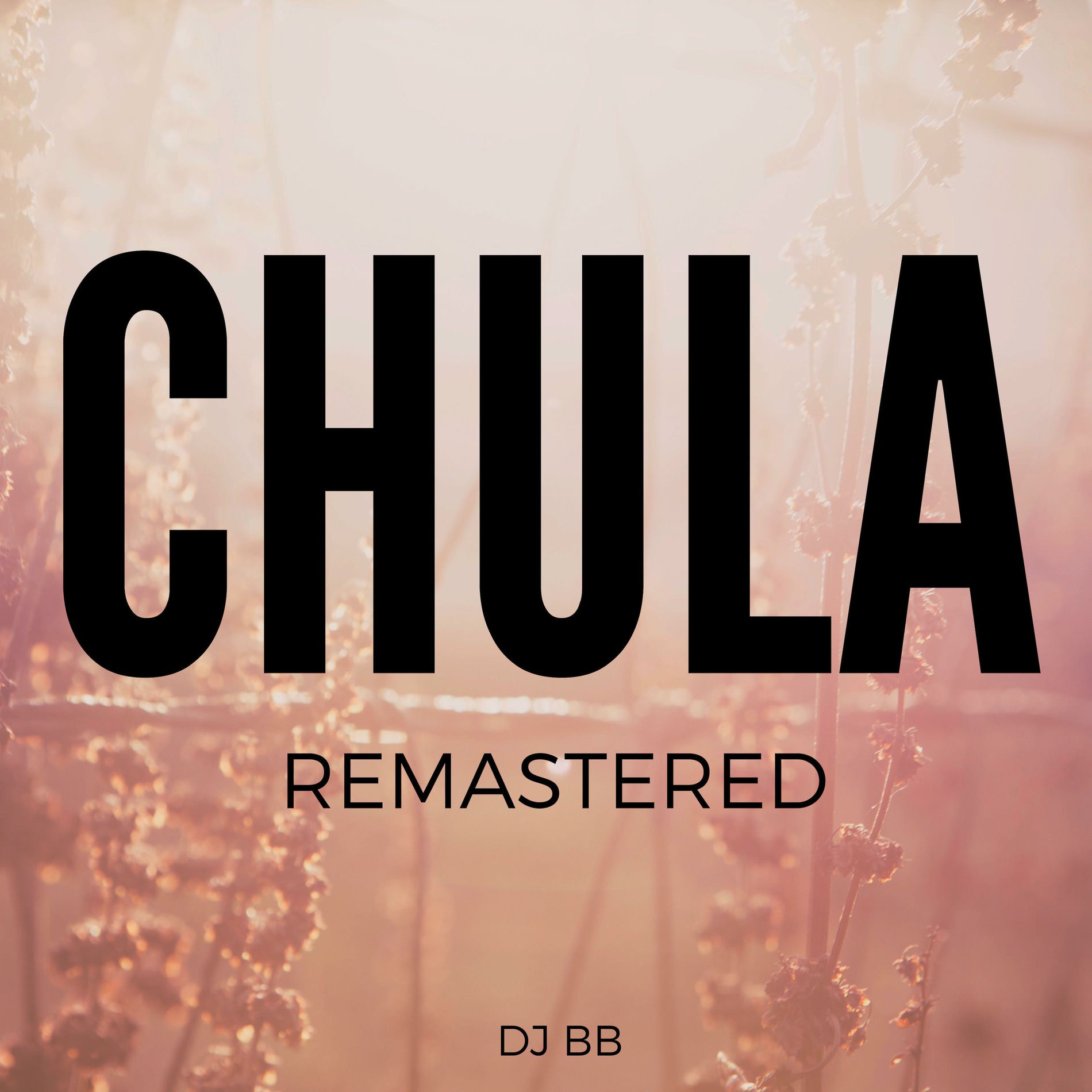 Album cover of Chula