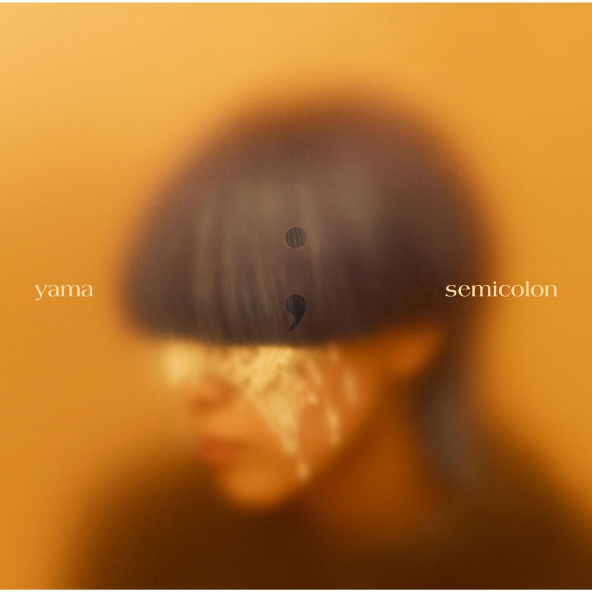 Album cover of semicolon