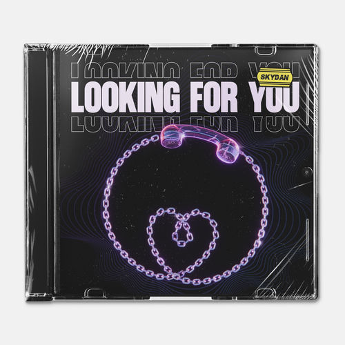 Looking For You - Skydan