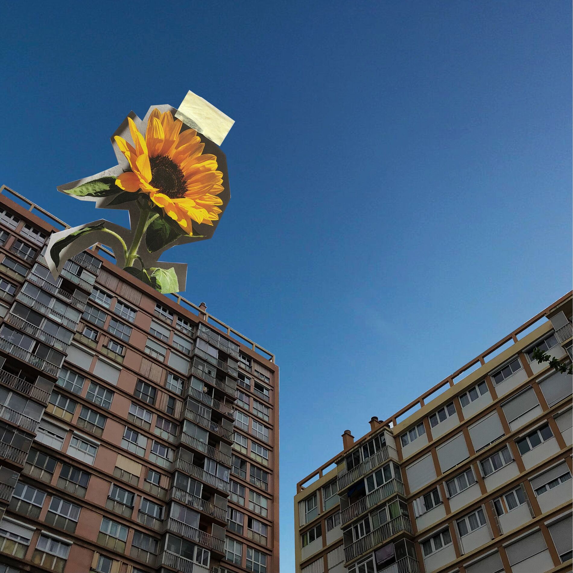 Album cover of CASA