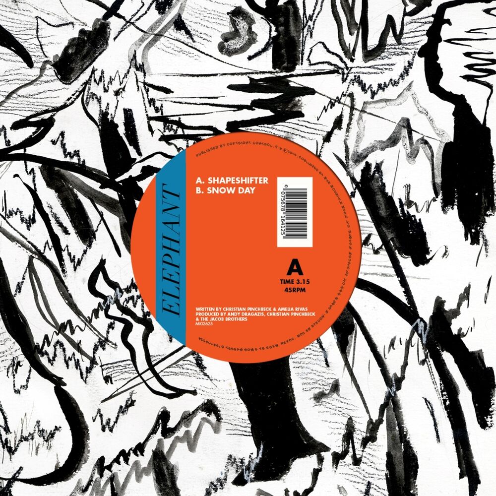 Picture of Shapeshifter