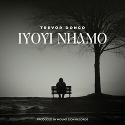 Cover of Iyoyi Nhamo