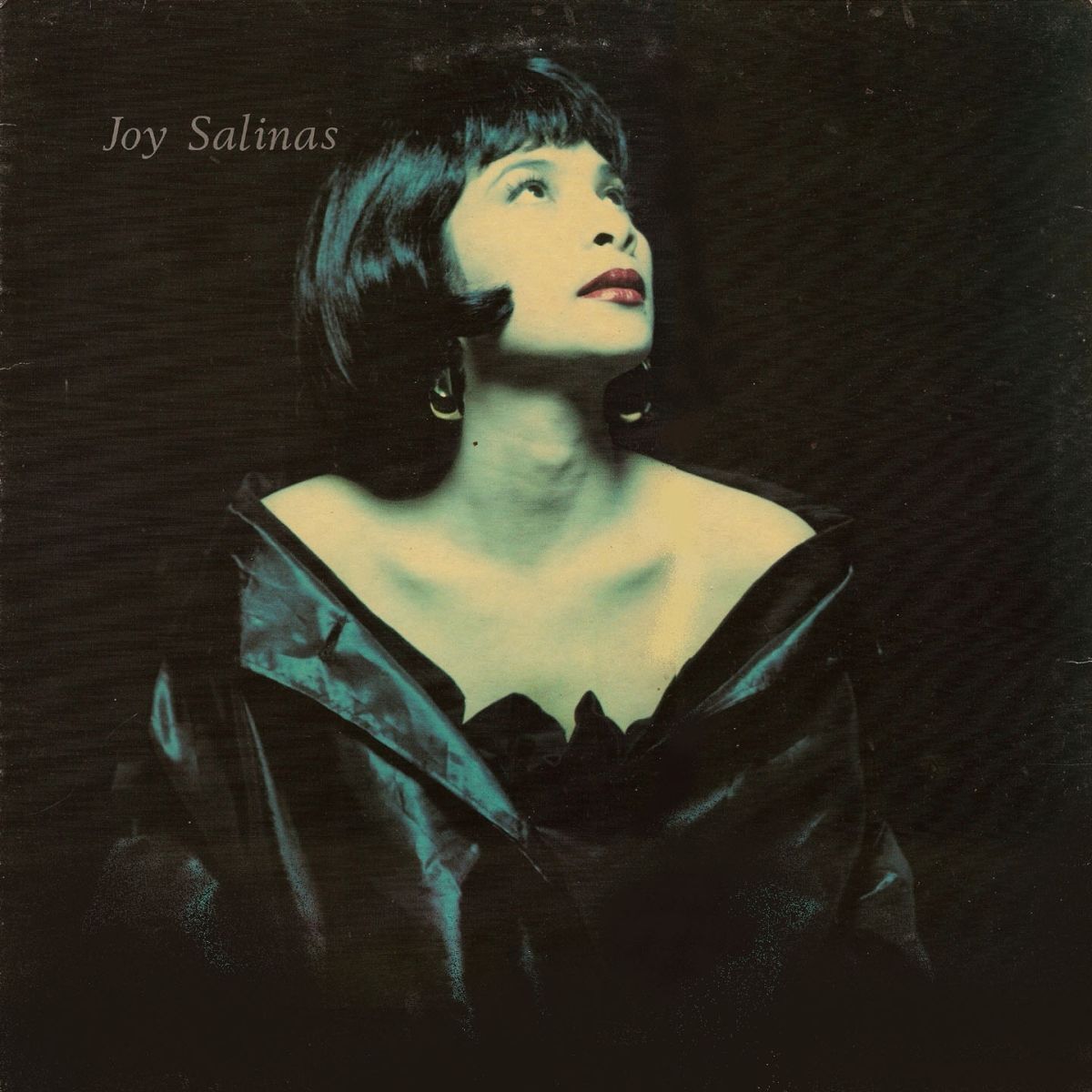 Album cover of Joy Salinas (LP)