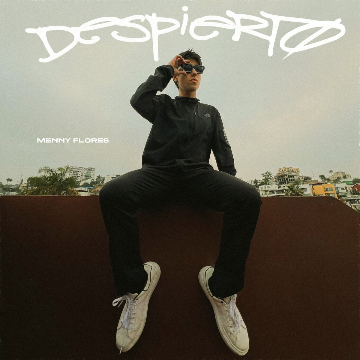 Album cover of DESPIERT0