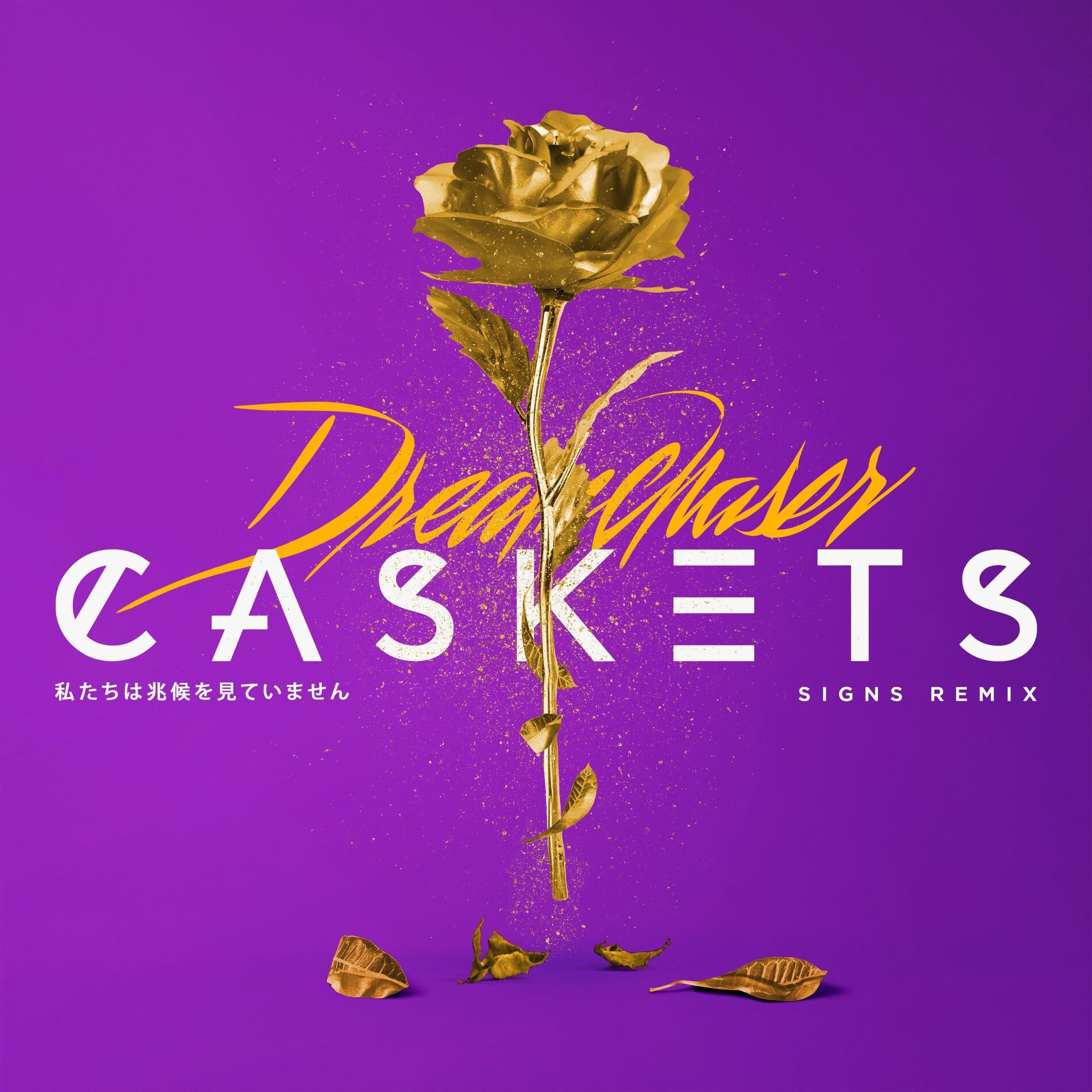 Album cover of Signs (Dreamchaser Remix)