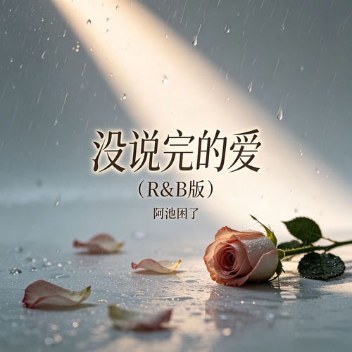 没说完的爱 (R&B版)
