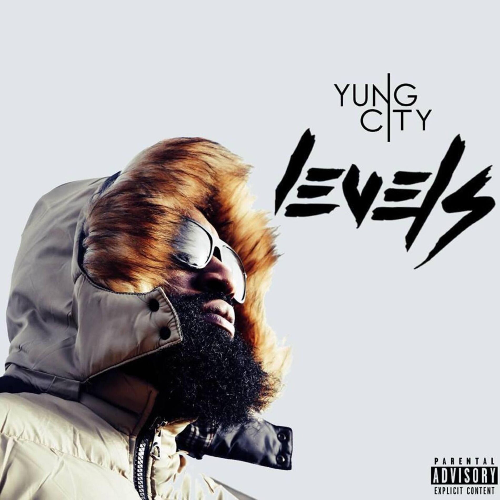 Album cover of Levels