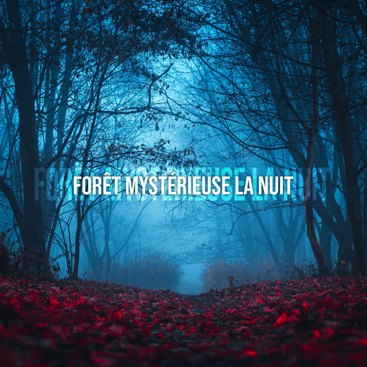 Album cover of Forêt mystérieuse la nuit: Méditation avec la nature, Proche de la nature, Sons nocturnes apaisants, Bruits d'animaux