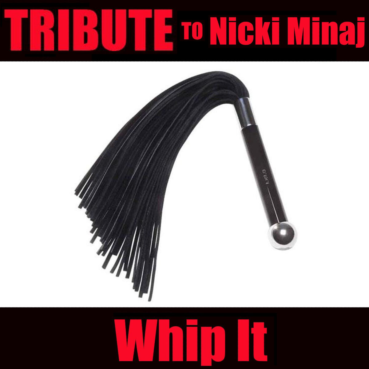 Album cover of Tribute To Nicki Minaj (Whip It Cover)