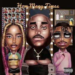 Cover of How Many Times