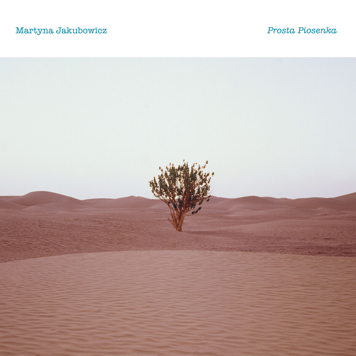 Album cover of Prosta Piosenka