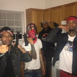 Cover of No White Flags