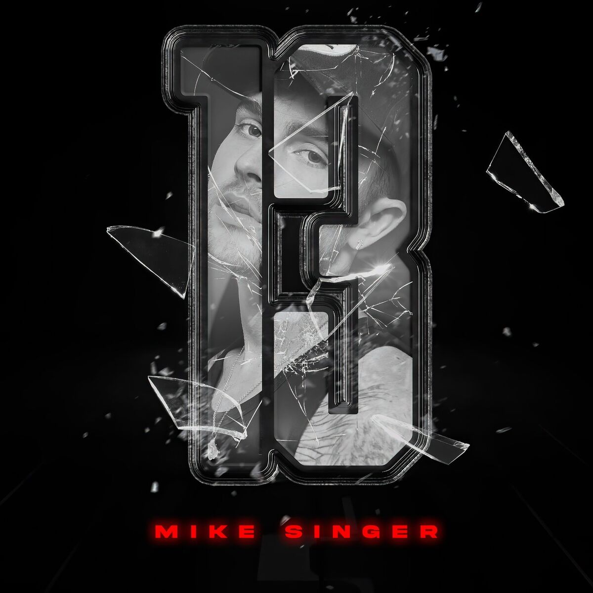 Album cover of 13