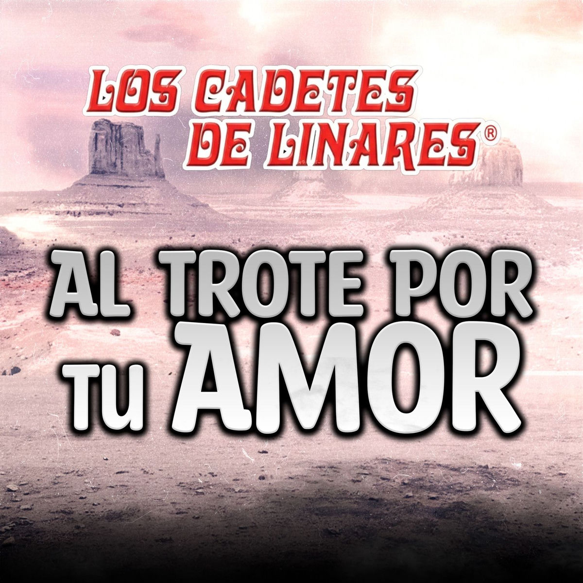 Album cover of Al Trote Por Tu Amor