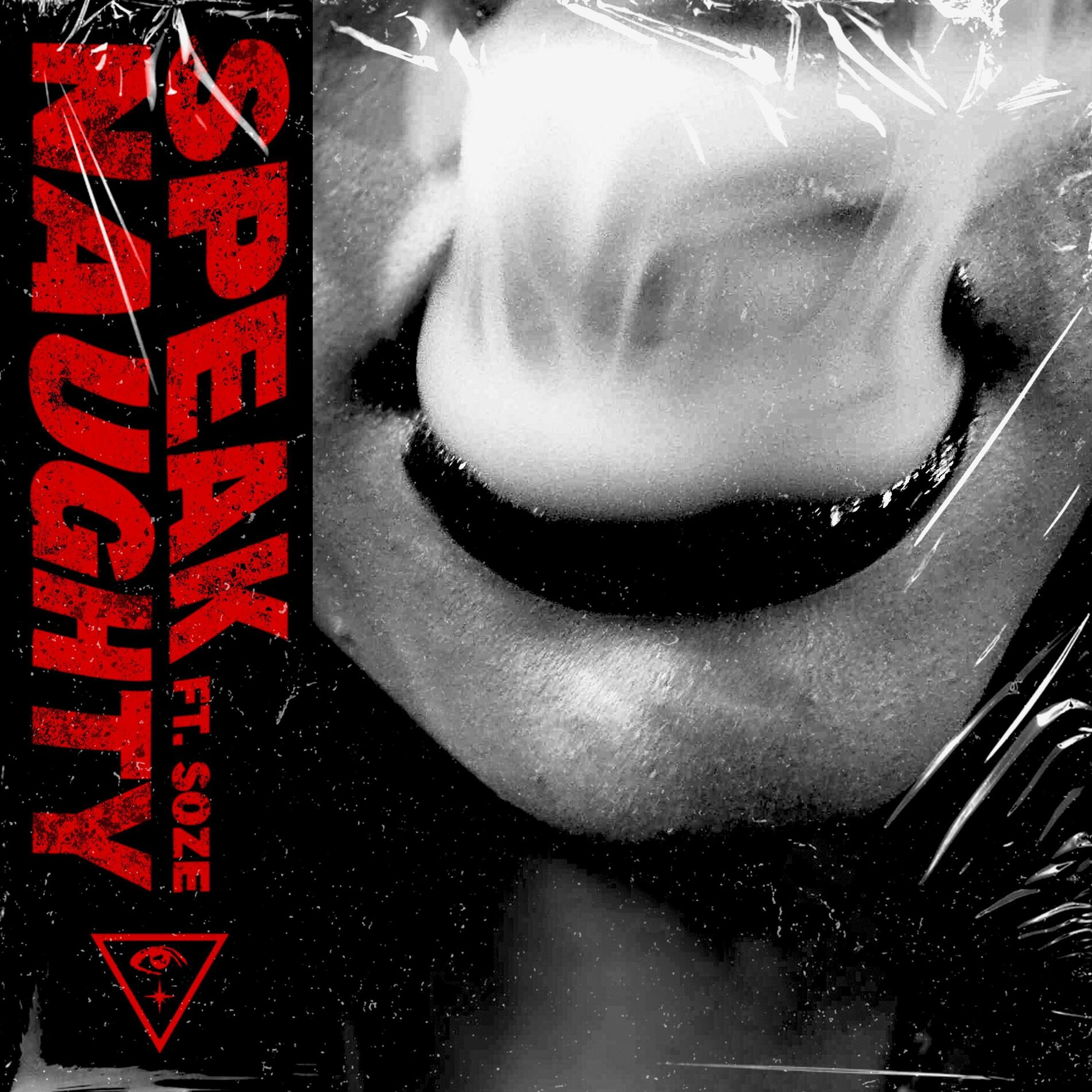 Album cover of Speak Naughty (feat. Elyn Soze, Ivy, Huc. Finn, DeezNuts & Kupo8000)