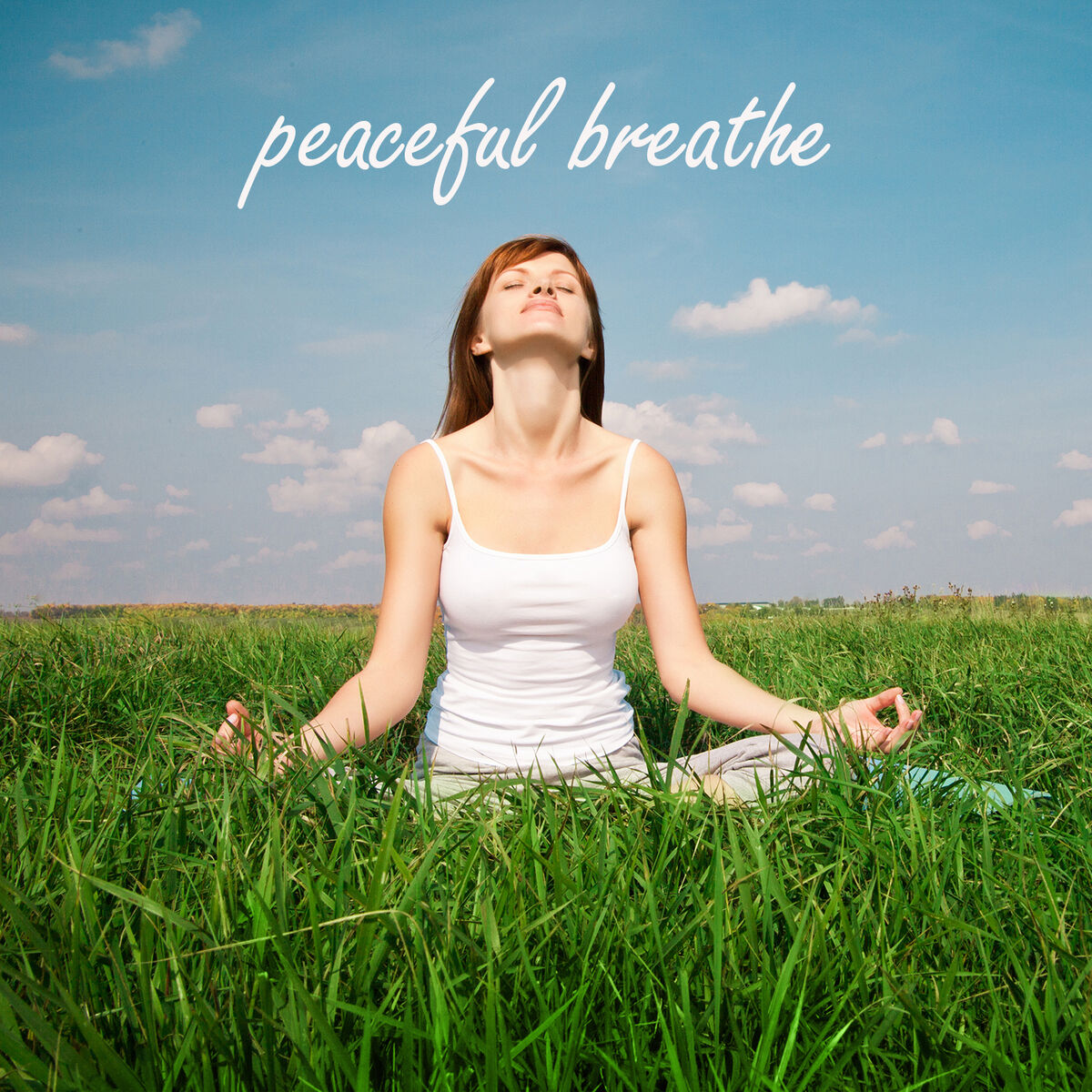 Album cover of Peaceful Breathe