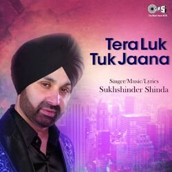 Cover of Tera Luk Tuk Jaana