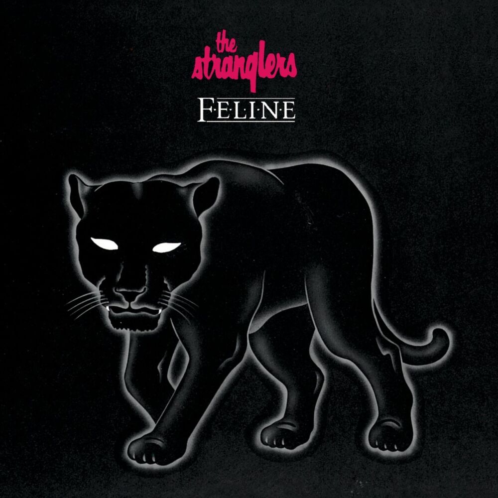 Picture of Feline