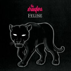 Cover of Feline