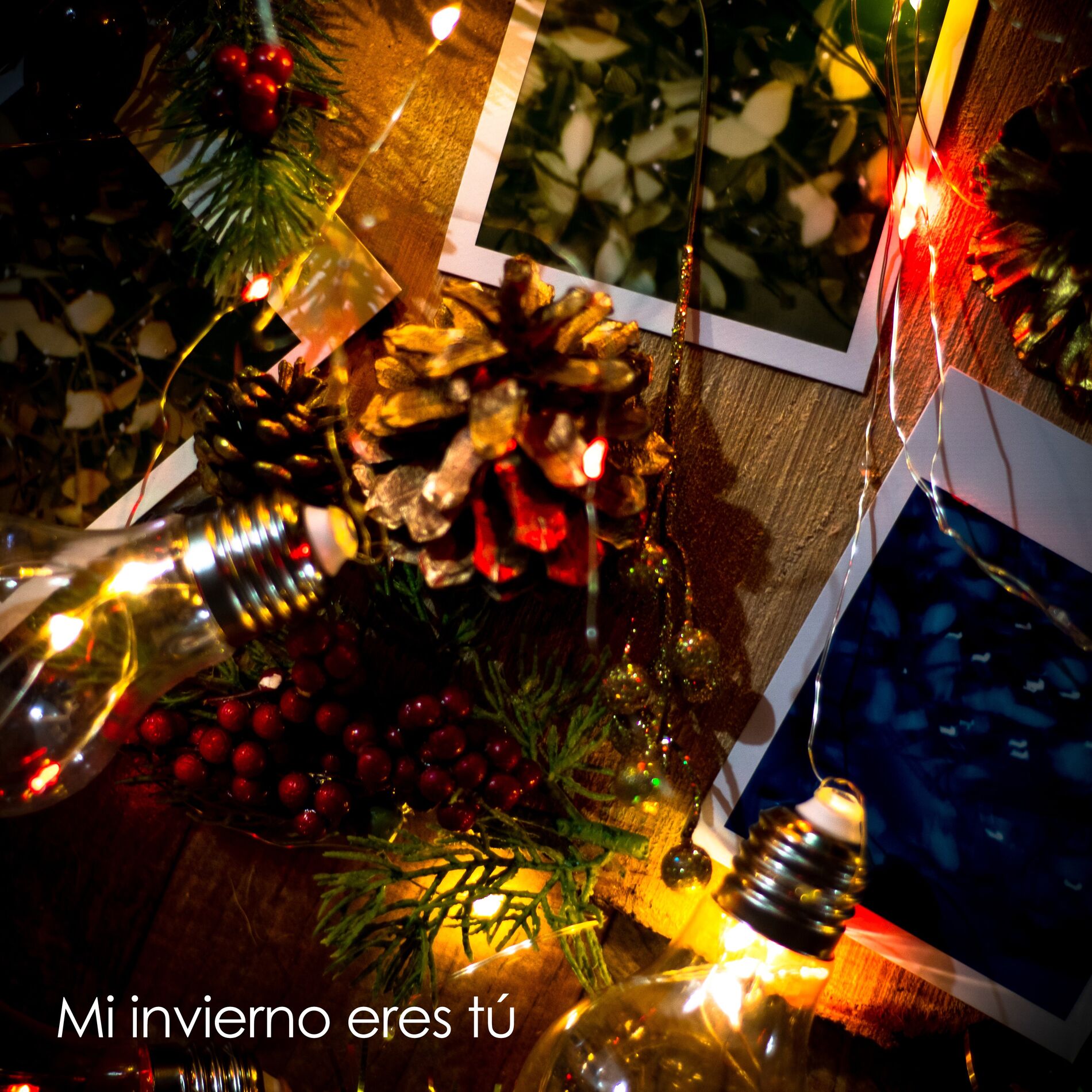 Album cover of Mi Invierno Eres Tú
