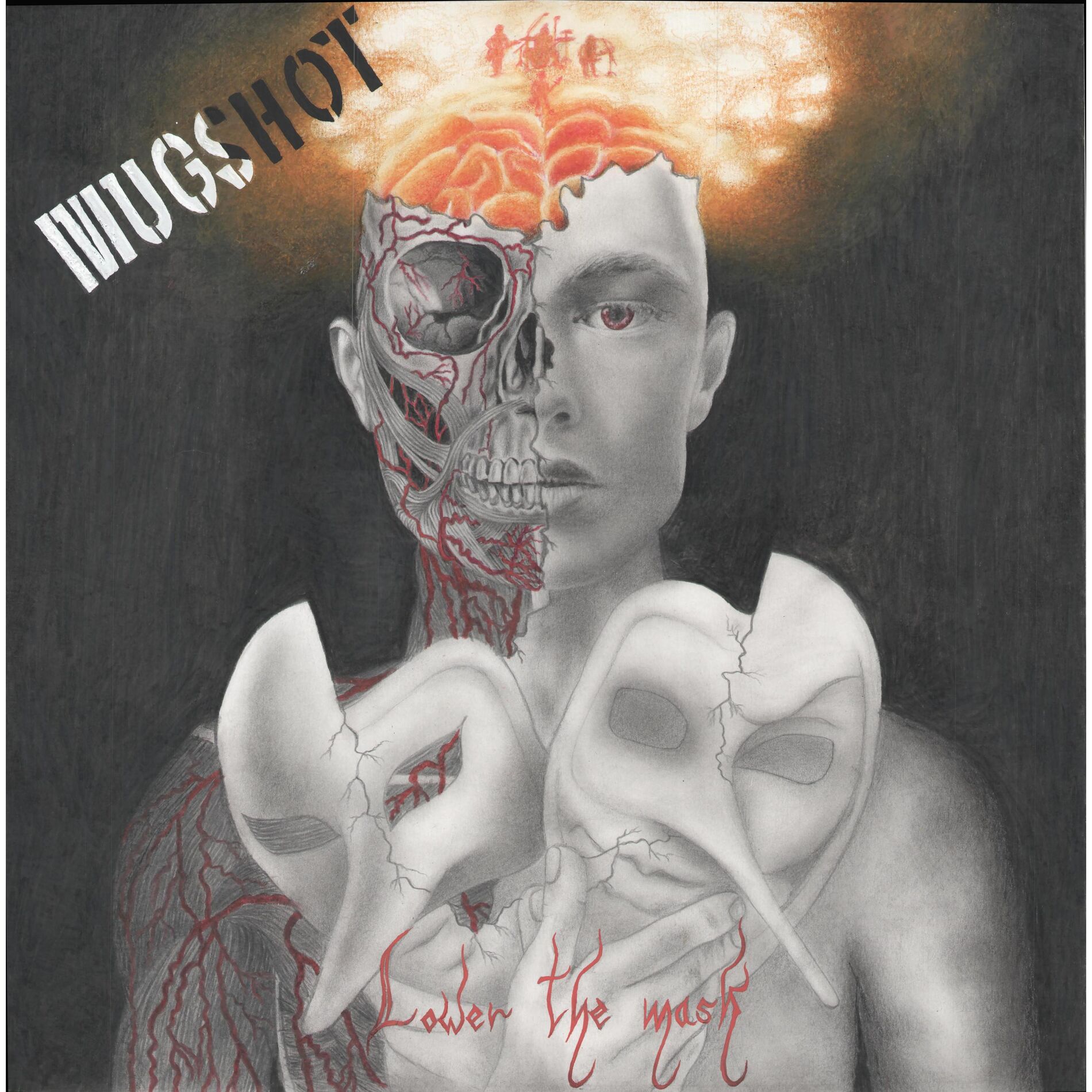 Album cover of Lower the Mask
