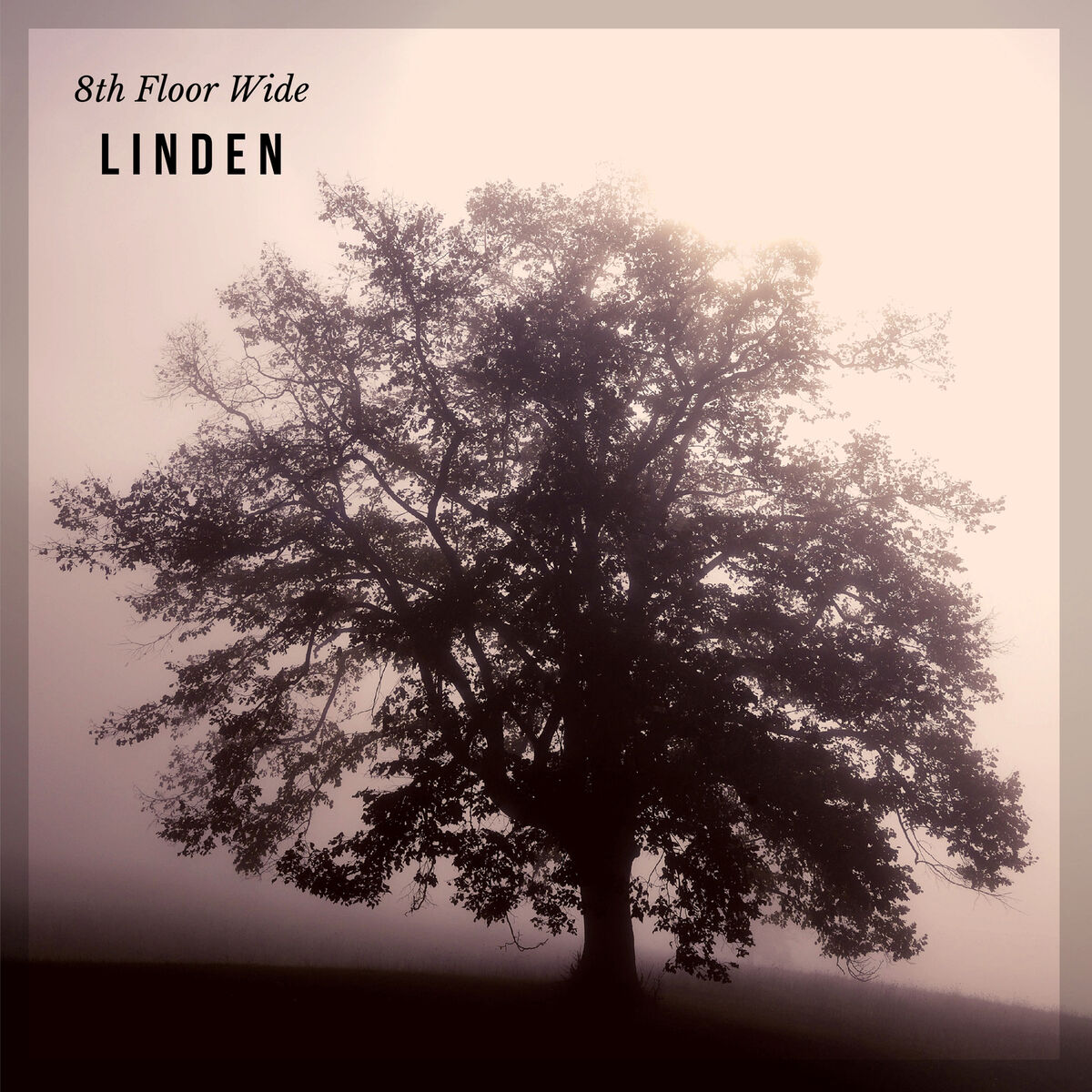 Album cover of Linden