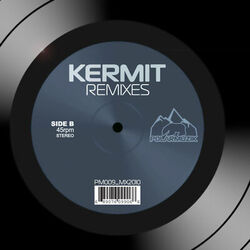 Cover of Remixes
