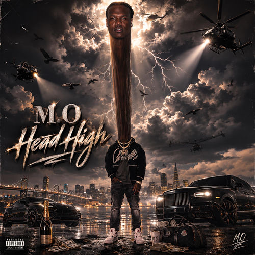 Head High artwork