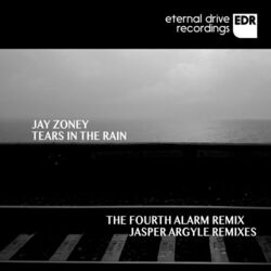 Cover of Tears In The Rain Remixes