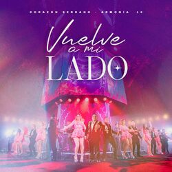 Cover of Vuelve A Mi Lado (En Vivo)