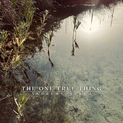 Cover of The One True Thing