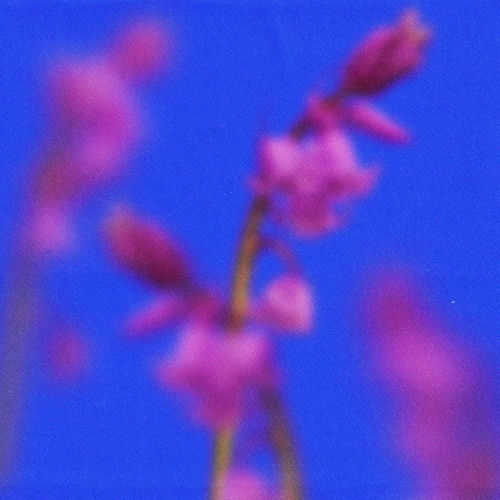 Thoughts Of Summer