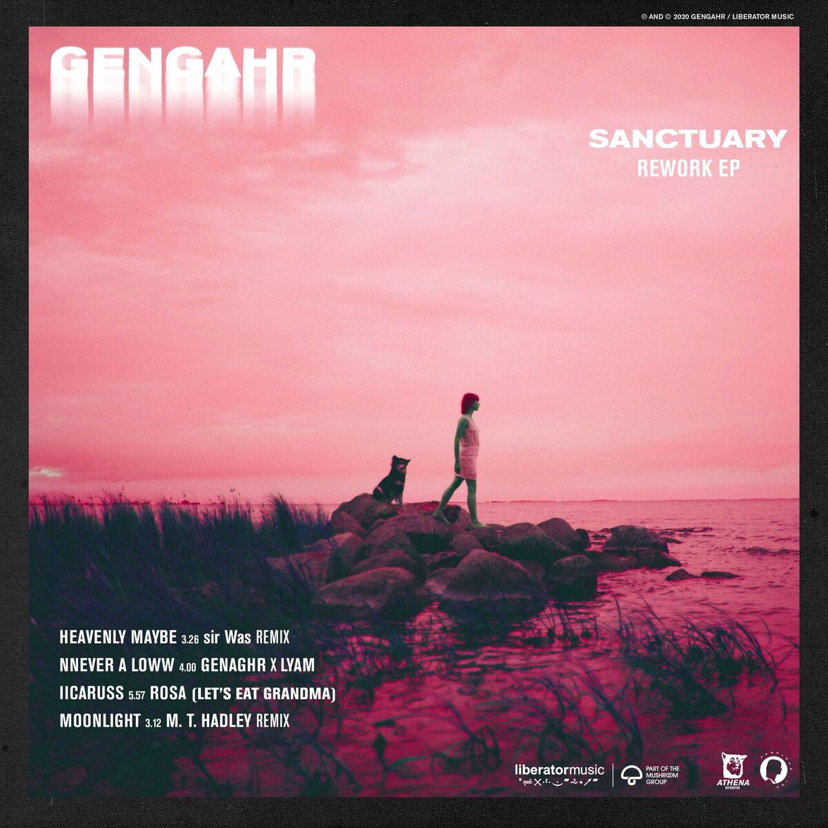 Album cover of Sanctuary (Rework)