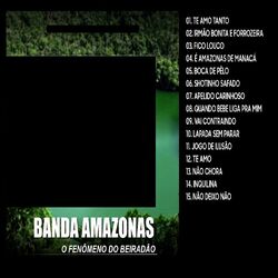 Cover of O FENÔMENO DO BEIRADÃO