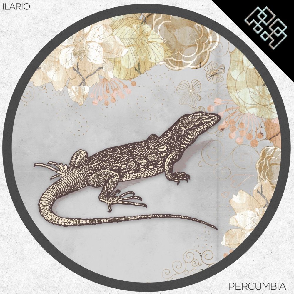 Picture of Percumbia