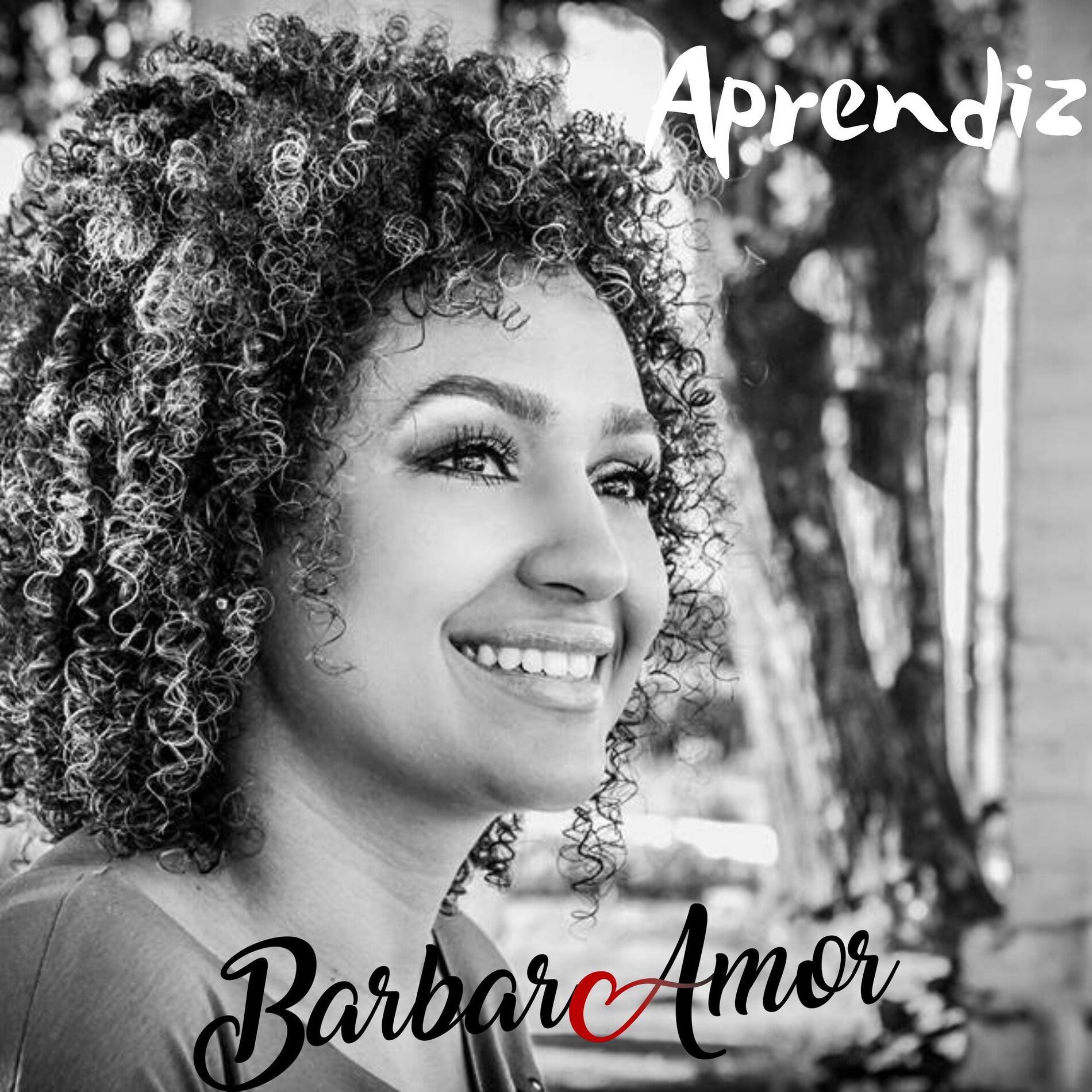 Album cover of Aprendiz