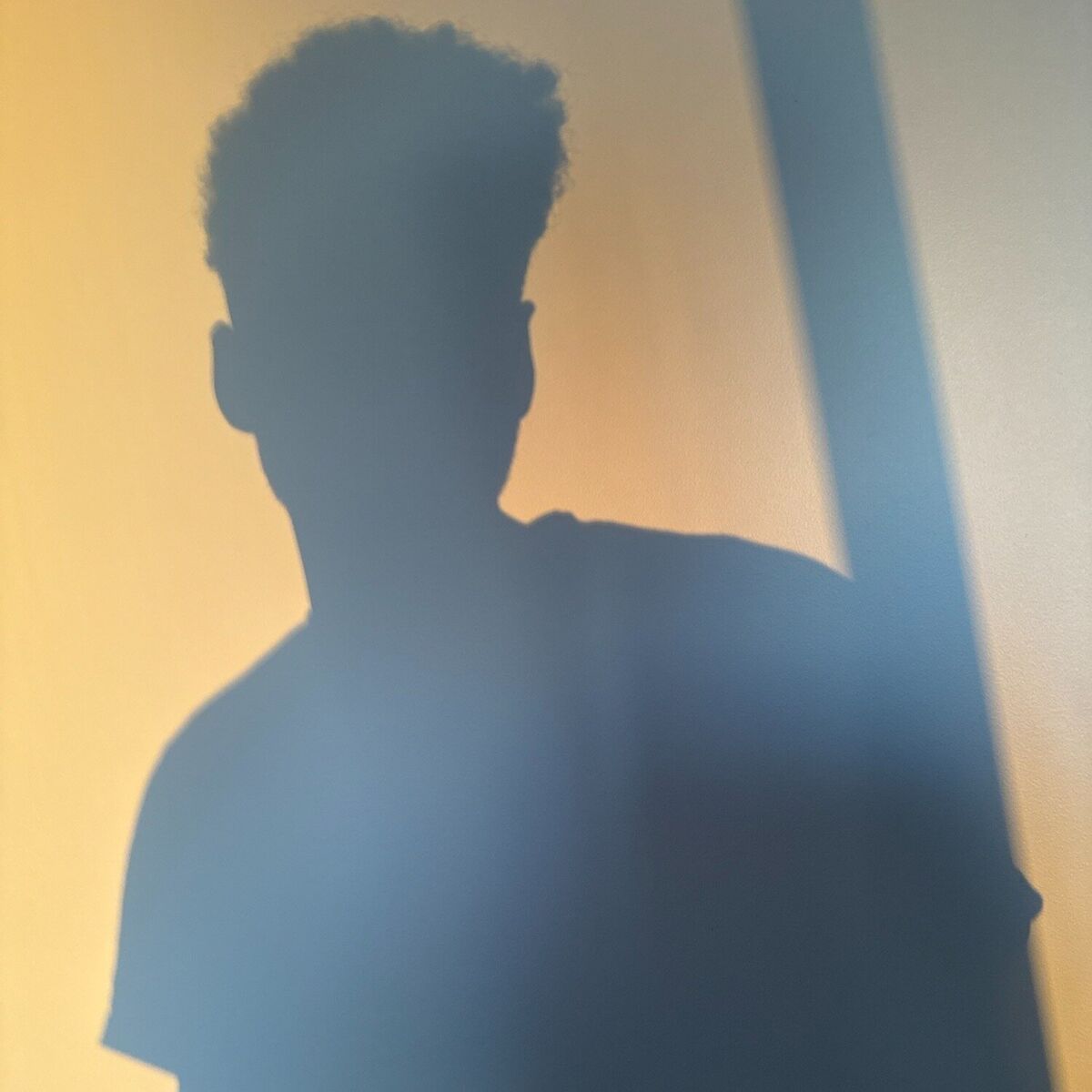 Album cover of Continental
