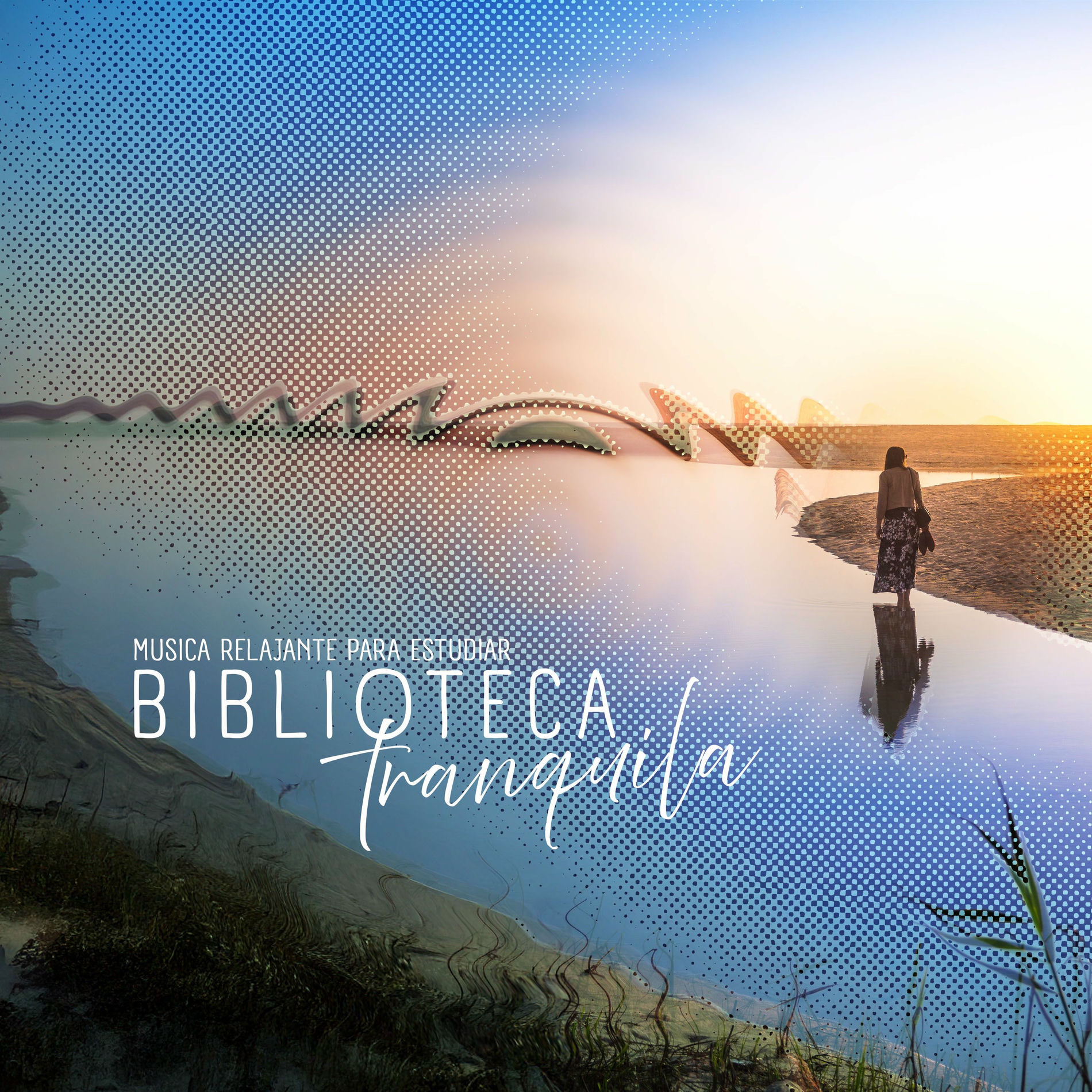 Album cover of Biblioteca tranquila