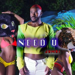 Cover of Need U