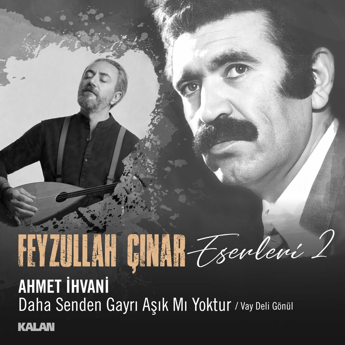 Album cover of Daha Senden Gayrı Aşık mı Yoktur / Vay Deli Gönül (Feyzullah Çınar Eserleri 2)