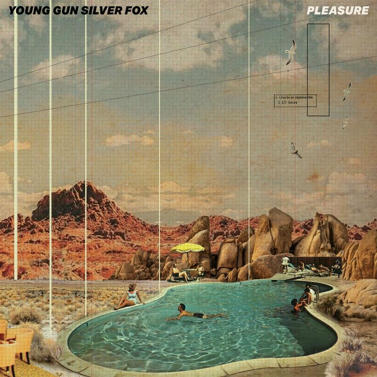 Album cover of Pleasure