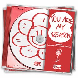 Cover of You Are My Reason