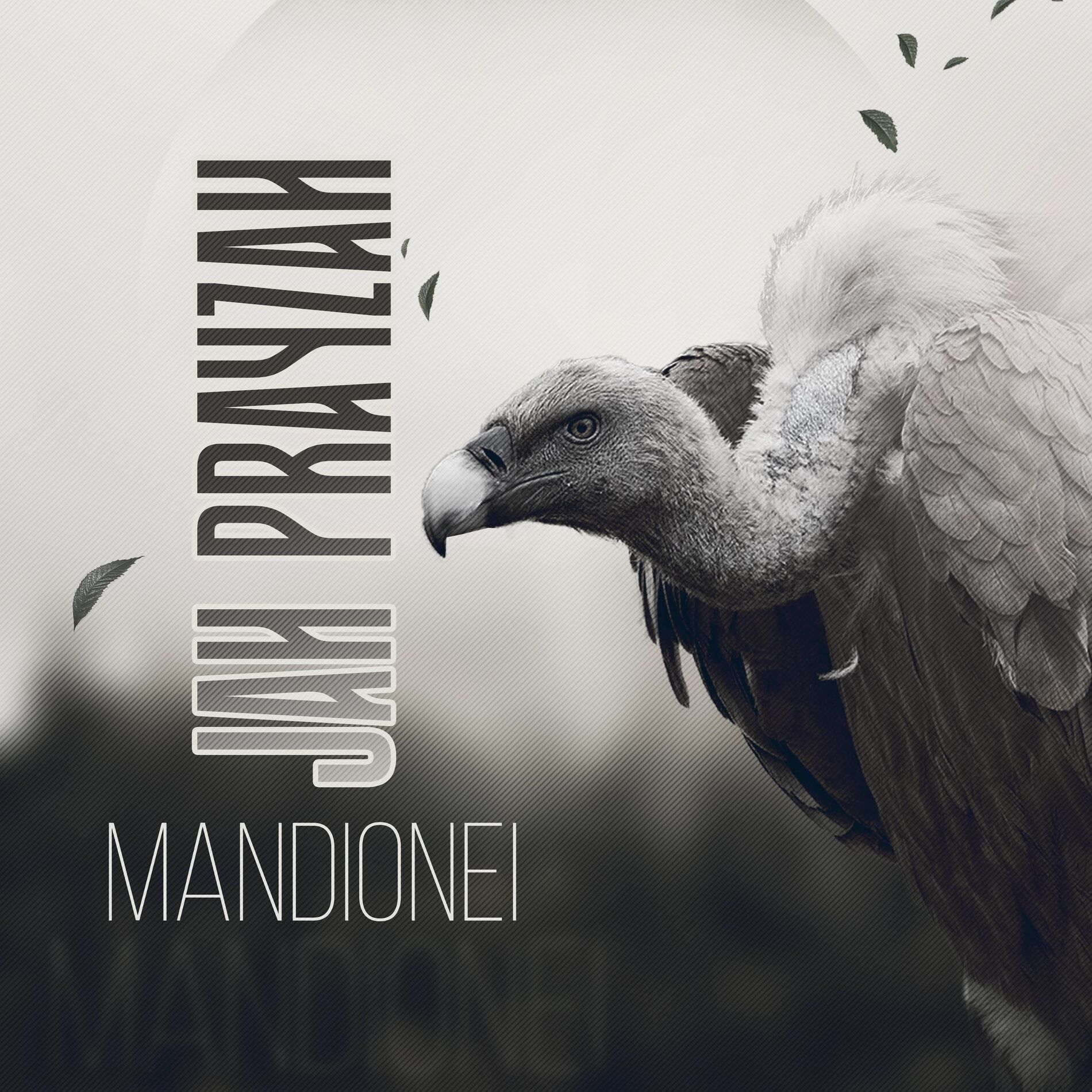 Album cover of Mandionei