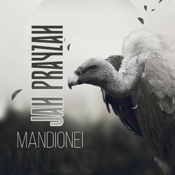Cover of Mandionei