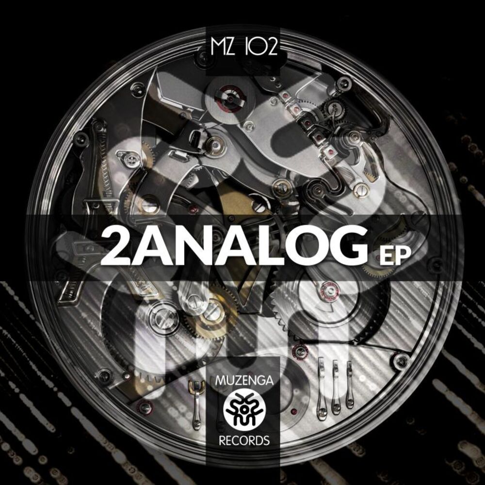 Picture of 2analog EP