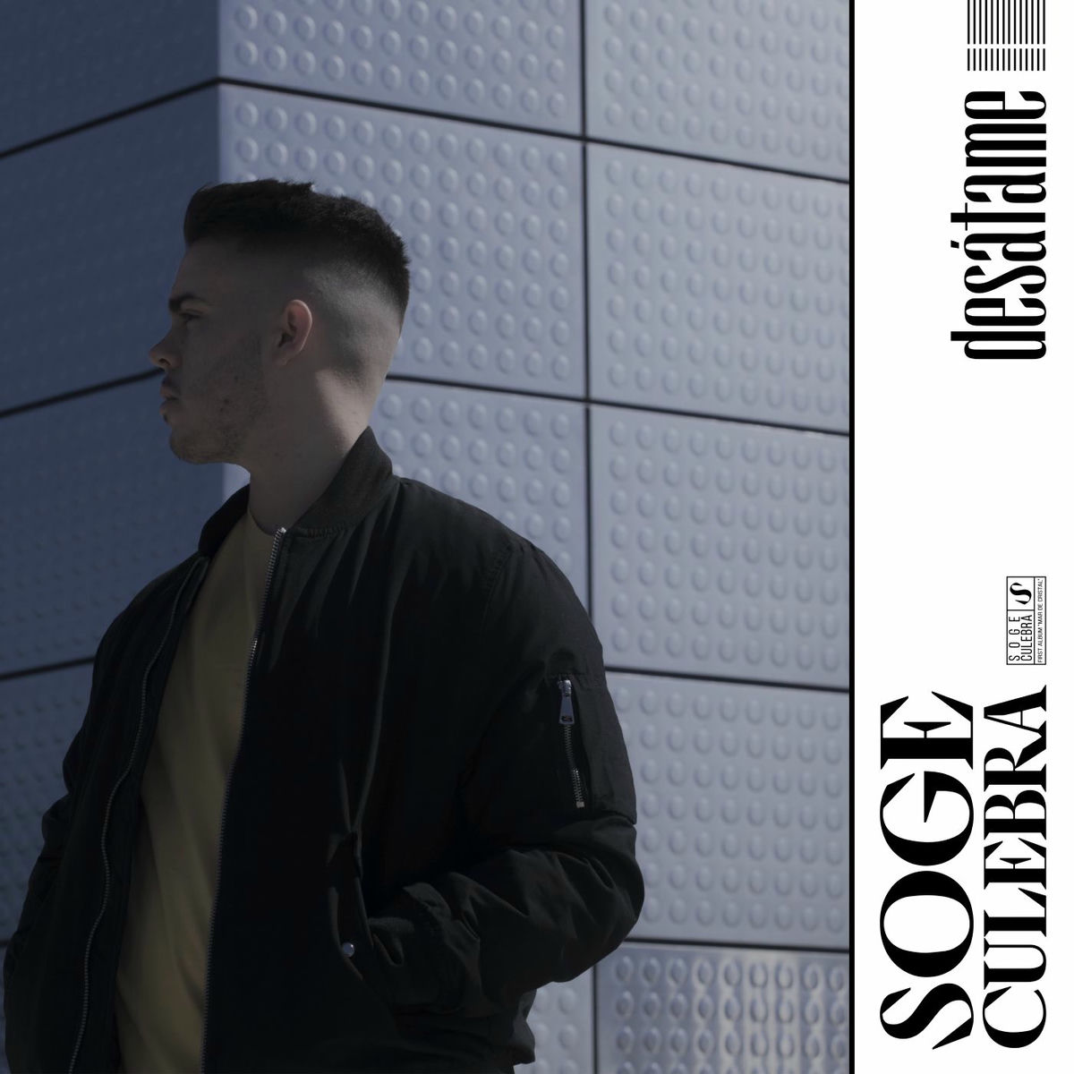 Album cover of Desátame