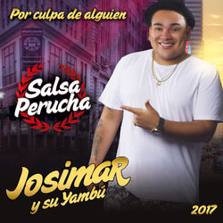 Cover of Por Culpa de Alguien